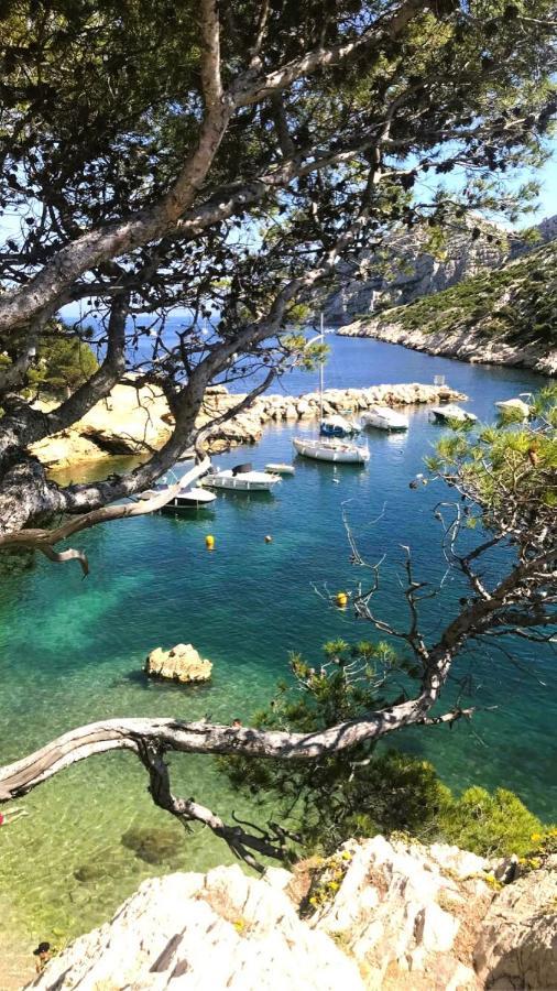 Le Sept Charmant Studio Aux Portes Des Calanques カシ エクステリア 写真